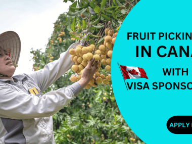 FRUIT PICKING JOBS IN CANADA WITH VISA SPONSORSHIP