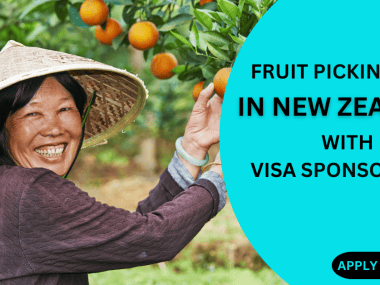 FRUIT PICKING JOBS IN NEW ZEALAND WITH VISA SPONSORSHIP